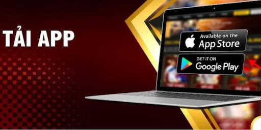 Đã có gần 10.000 thành viên tải app Vexovn trong năm nay